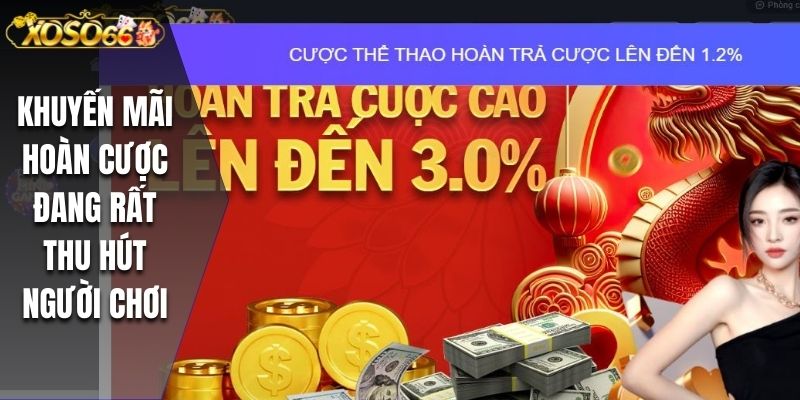 Khuyến mãi hoàn cược đang rất thu hút người chơi